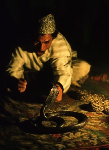 Schlangenbeschwörer in Marrakech / Marokko
