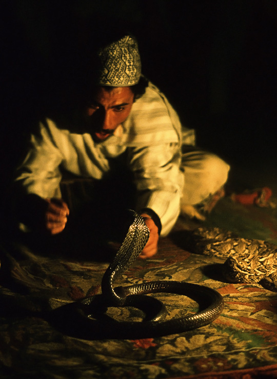 Snake Charmer, Morocco